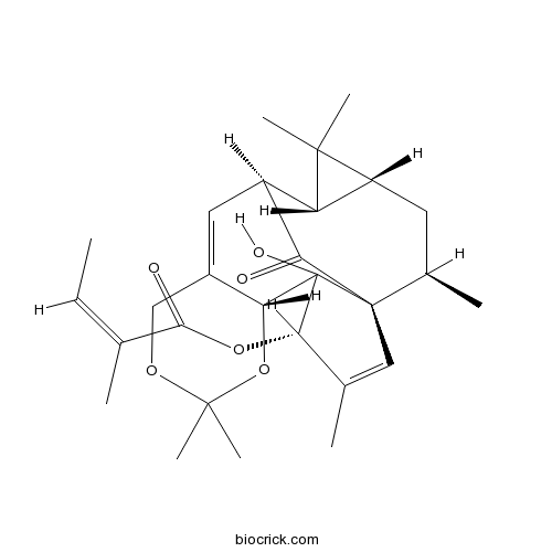 Ingenol-5,20-acetonide-3-O-angelate