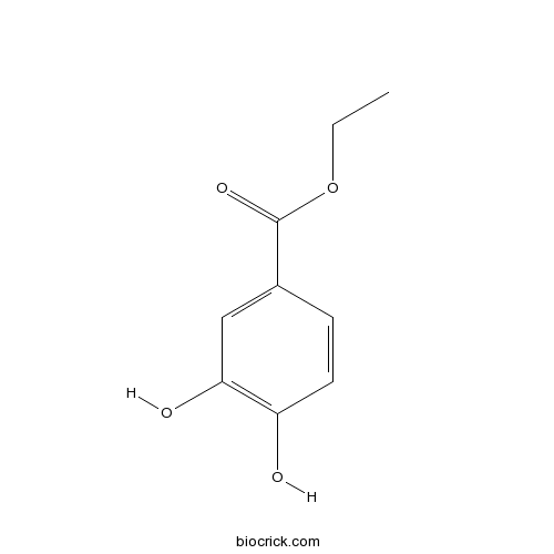 Ethyl 3,4-dihydroxybenzoate