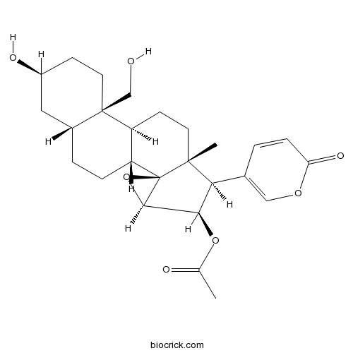 Cinobufaginol