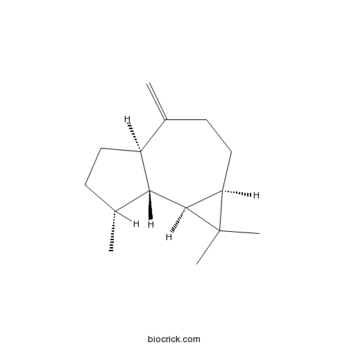 Aromadendrene