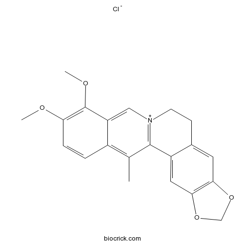 13-Methylberberine