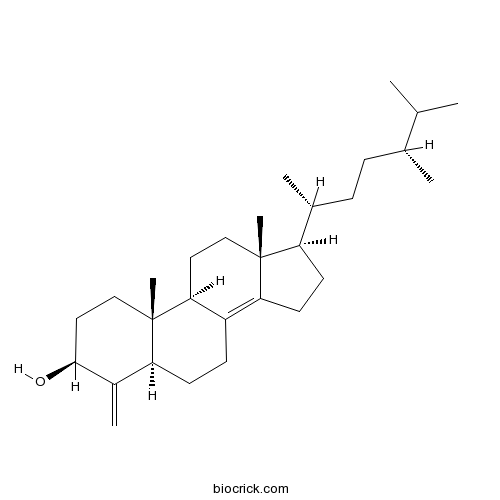 Conicasterol