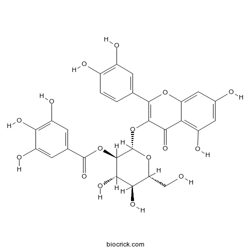 Quercetin 3-O-(6''-galloyl)-beta-D-glucopyranoside