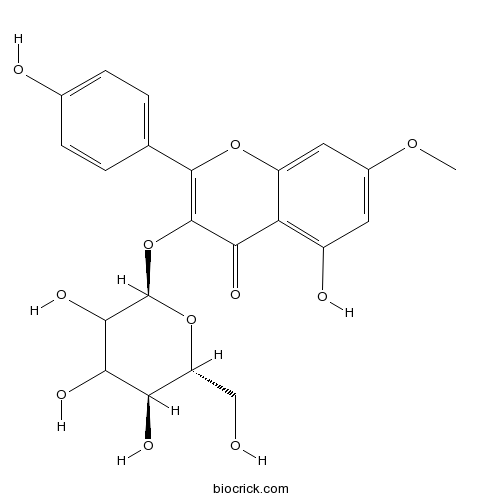 鼠李柠檬素-3-O-β-D-葡萄糖苷