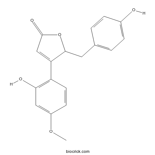 Puerol B