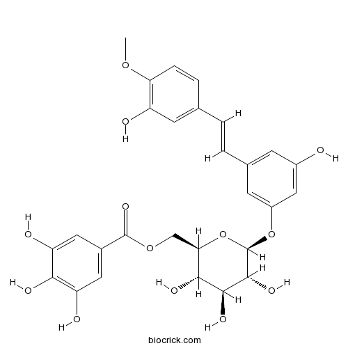 土大黄苷 6''-O-没食子酸酯