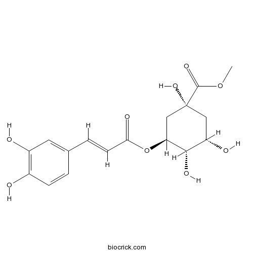 Neochlorogenic acid methyl ester