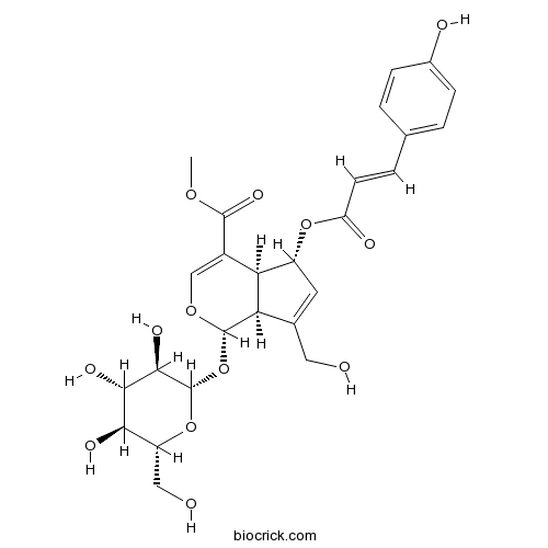 (E)-6-O-(p-coumaroyl)scandoside methyl ester