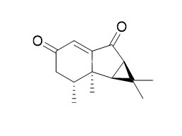 Nardoaristolone B