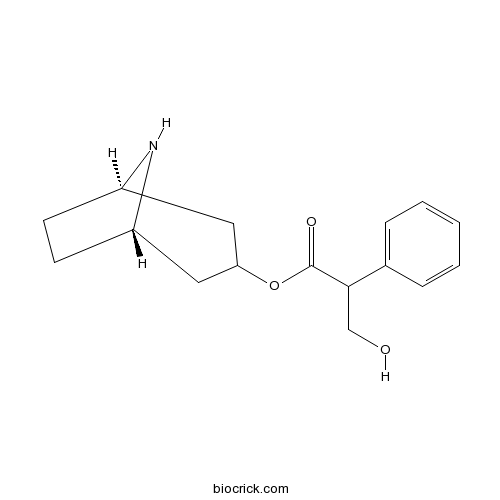 Noratropine