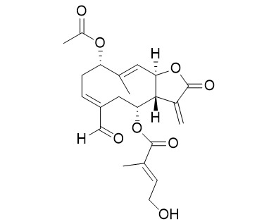 Eupalinolide O