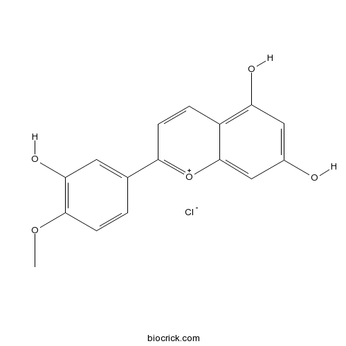 Diosmetinidin chloride