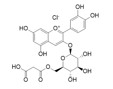 Cyanidin-3-O-(6''-malonylglucoside) chloride