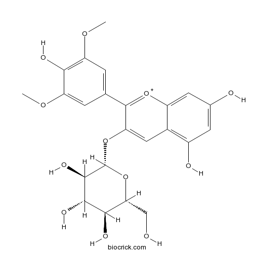 Malvidin 3-O-glucoside