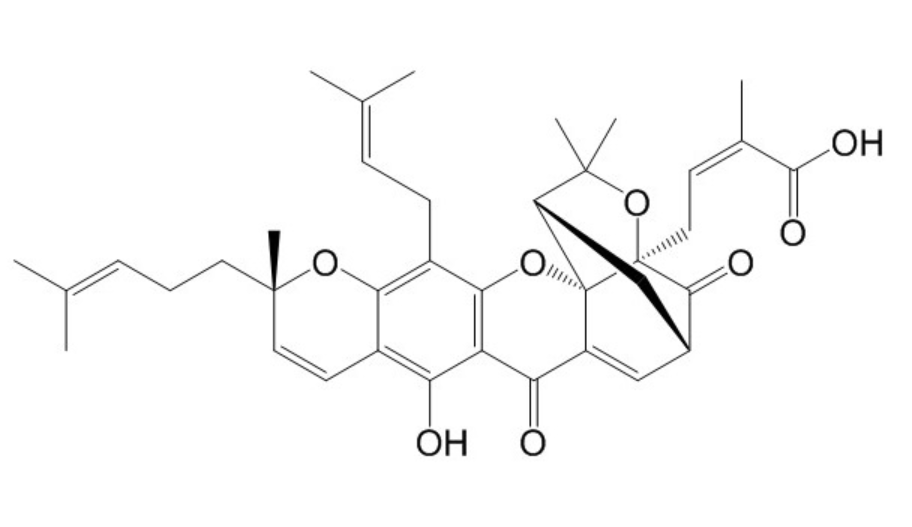 Epigambogic acid