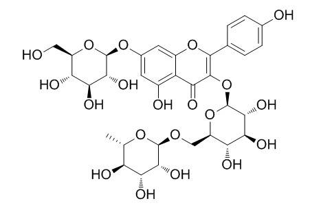 山柰酚-3-O-芸香糖-7-O-葡萄糖苷