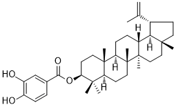 3,4-Dihydroxybenzoyllupeol