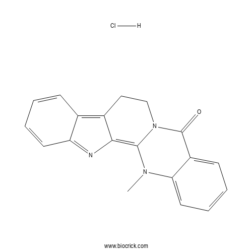 Dehydroevodiamine hydrochloride