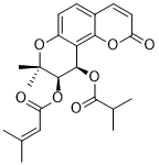 4′-O-Isobutyroylpeguangxienin