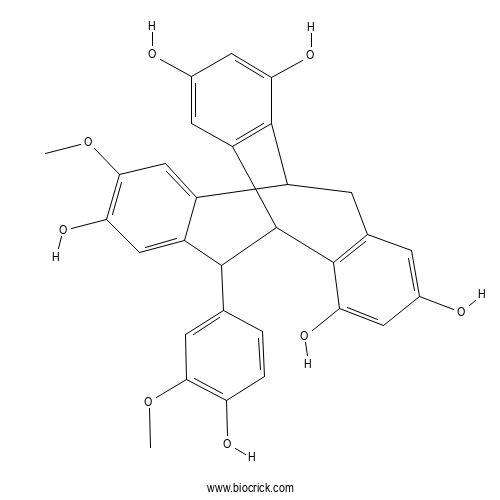 Bisisorhapontigenin G