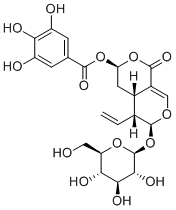 7β-Galloyloxysweroside