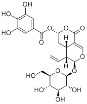 7α-Galloyloxysweroside