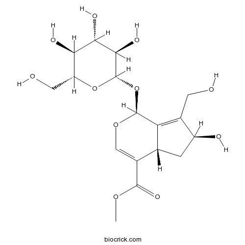 10-Hydroxymajoroside