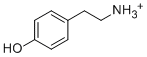 Tyramine hydrochloride