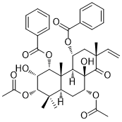 Orthosiphol B