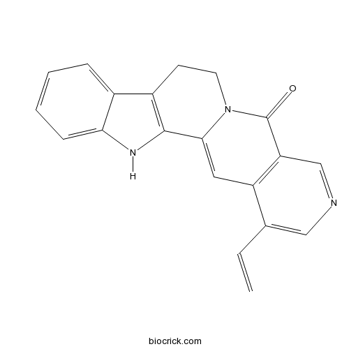 Angustine