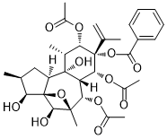 Trigonosin D