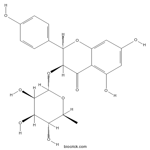 Isoengeletin