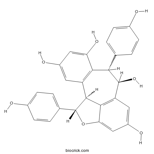 Ampelopsin A