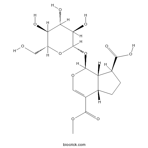 11-Methylforsythide