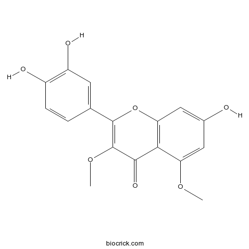 Caryatin