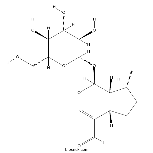 Boschnaloside