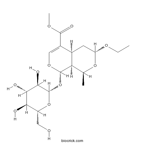 7α-O-Ethylmorroniside