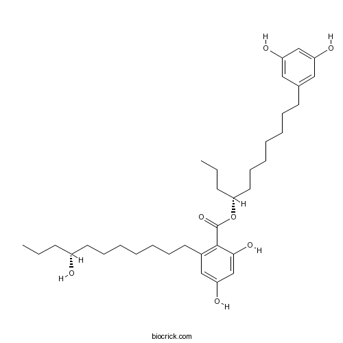 Integracin B