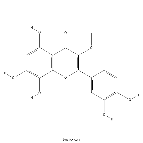 棉花皮素 3-甲醚