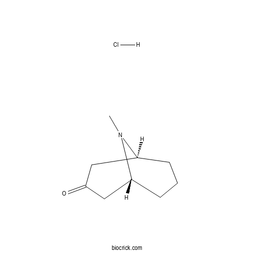 Pseudopelletierine hydrochloride