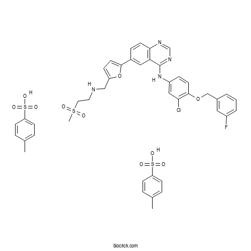 Lapatinib (GW-572016) Ditosylate
