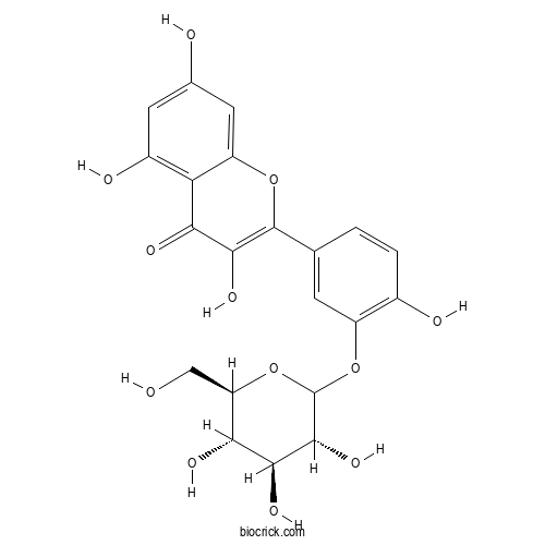 Quercetin-3'-glucoside