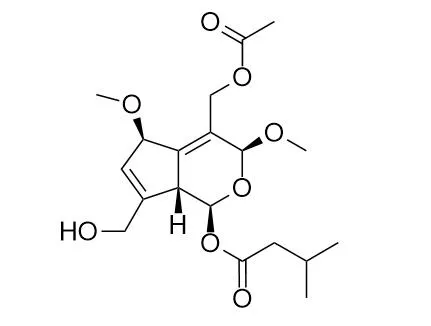 Jatairidoid B