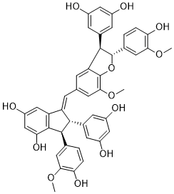 Gnetuhainin O