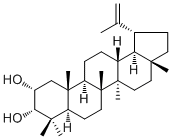 Lup-20(29)-ene-2α,3α-diol