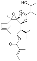 Trijugin H