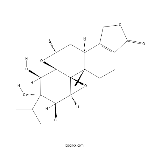 Tripchlorolide