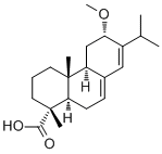 12α-Methoxyabietic acid