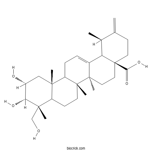 3-epi-Actinidic acid