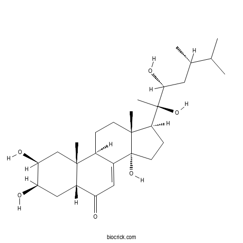 Polyporusterone A